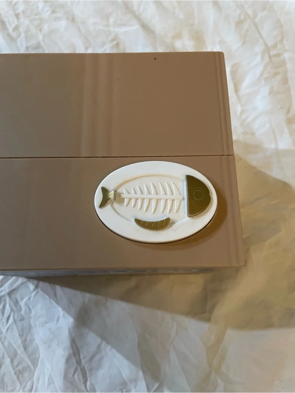 Stealing Cat Piggy Bank - Fresh Fish Brown Cardboard Box Style